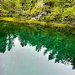 Facts About Kitch-iti-kipi