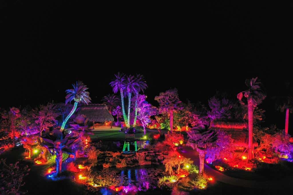 20 Best Places To See Christmas Lights in Florida