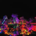 Johnsonville Night Lights in the Garden