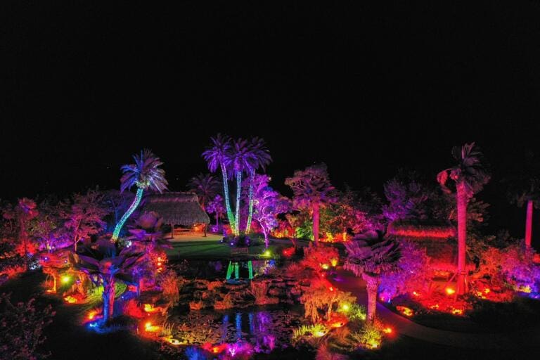 20 Best Places To See Christmas Lights in Florida