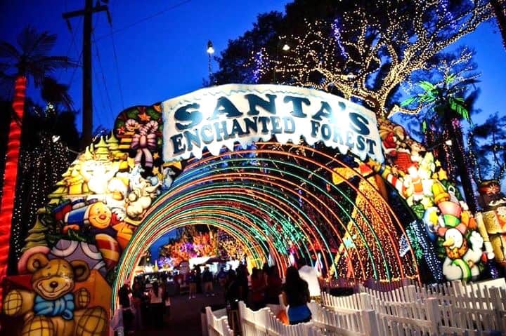 Santa's Enchanted Forest