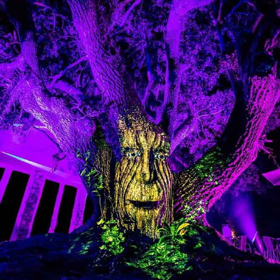 The NightGarden in Miami