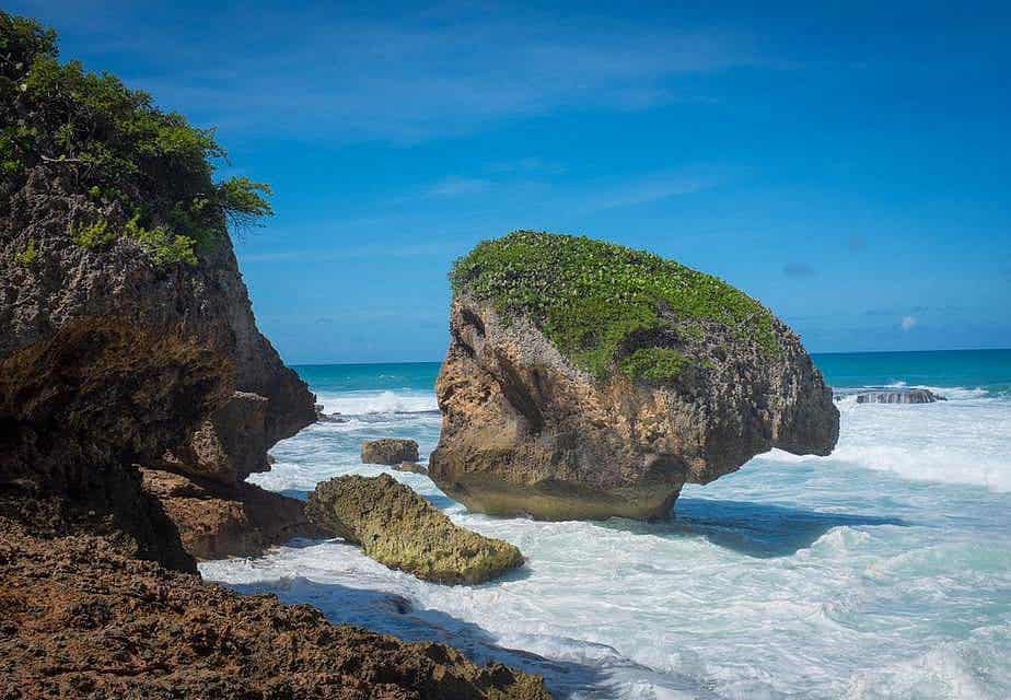 Survival Beach Puerto Rico