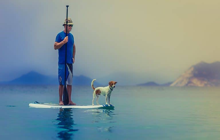 Paddleboarding – Here’s Why You Should Try It!