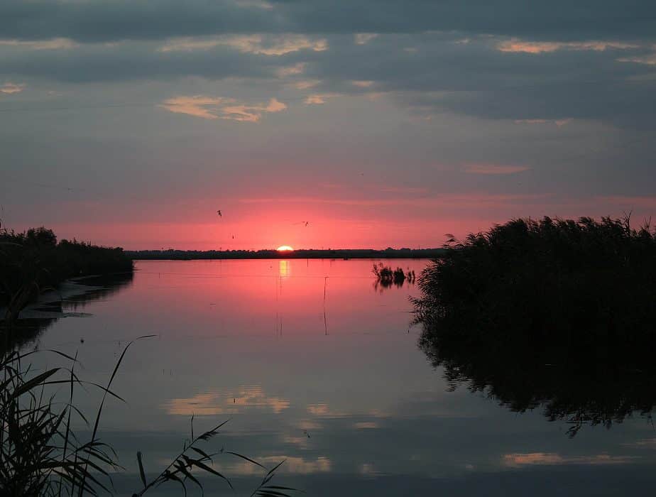 Danube Delta