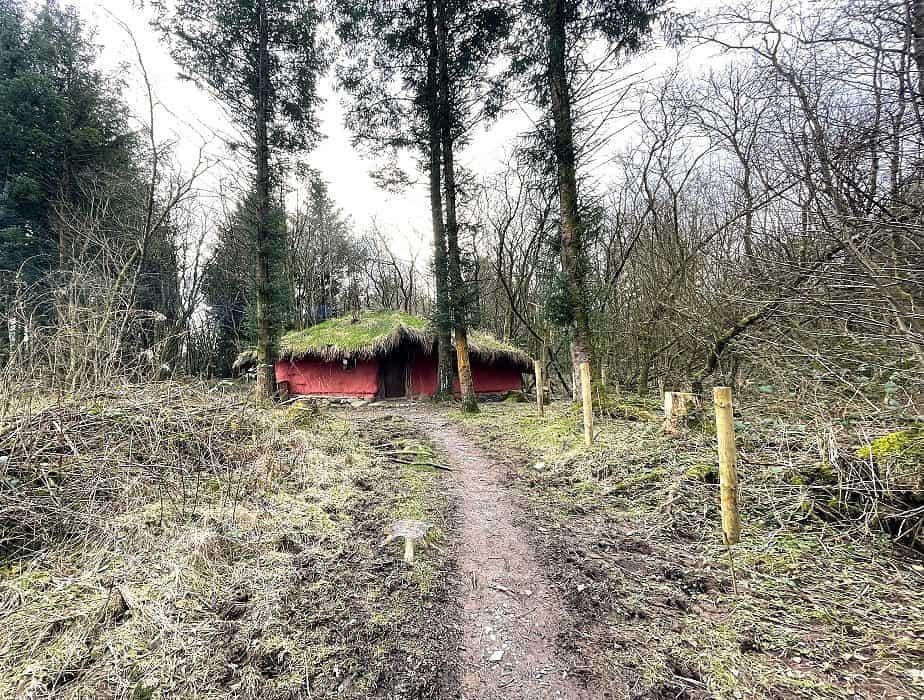 Scourage In The Woods