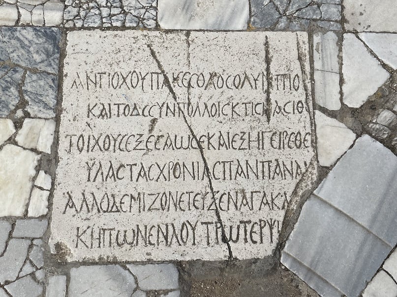 Mosaics At Salamis