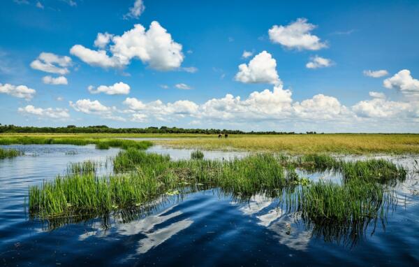 Palatka Florida - Discover The Top Activities and Attractions