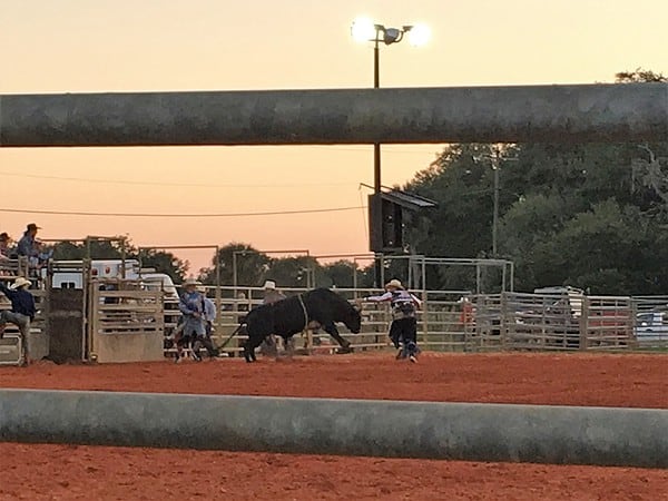 The Westgate Rodeo