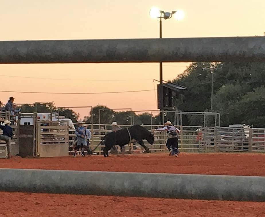 The Westgate Rodeo