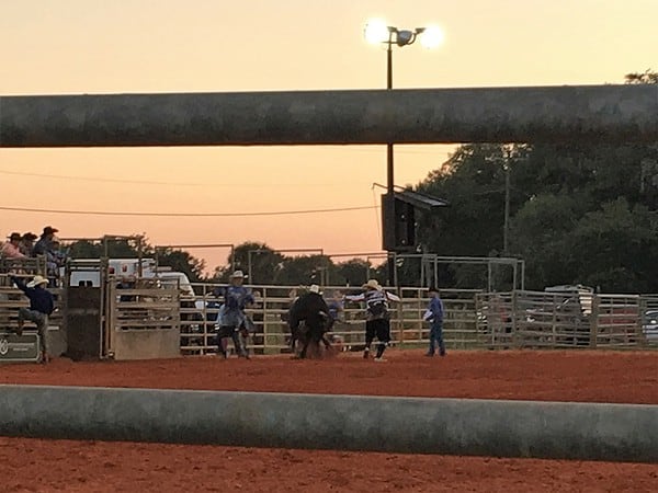 Westgate Rodeo On Sat Night