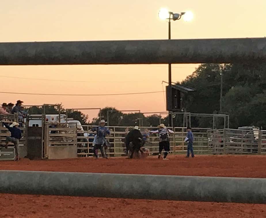 Westgate Rodeo On Sat Night