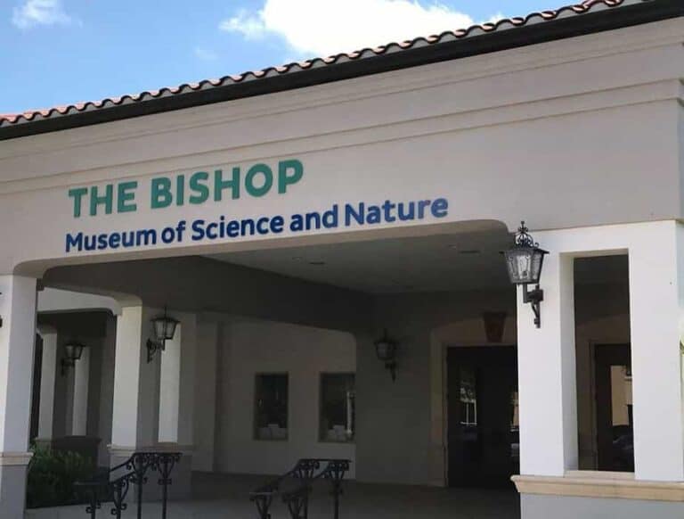 The Best Things to Do In Bradenton Florida