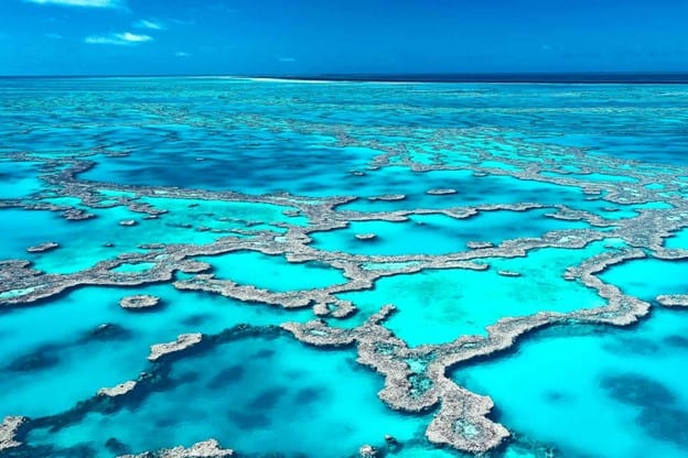 The Great Barrier Reef Australia