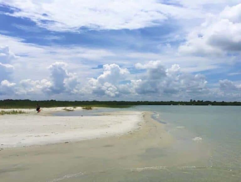 The Best Things to Do in New Smyrna Beach, Florida