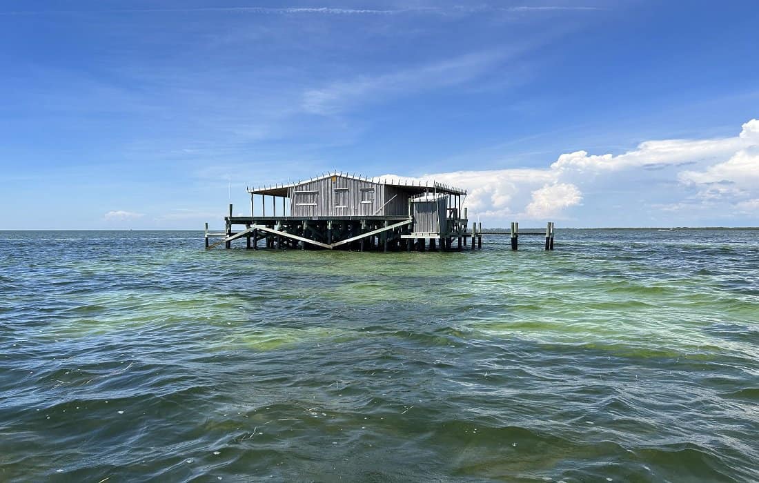 Architectural Design of Stilt Homes