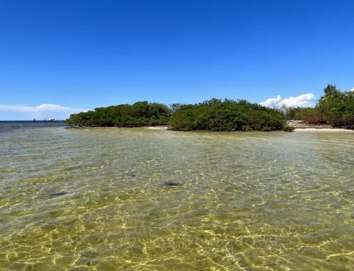 Durney Key: A Hidden Gem Of Pasco County, Florida