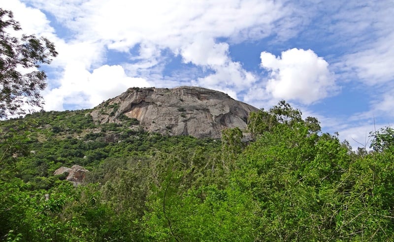 Nandi Hills Nature