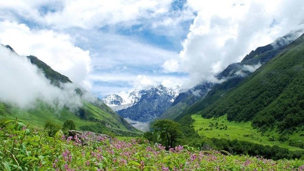 India Valley of Flowers Treks