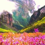 Valley of Flowers Trek India
