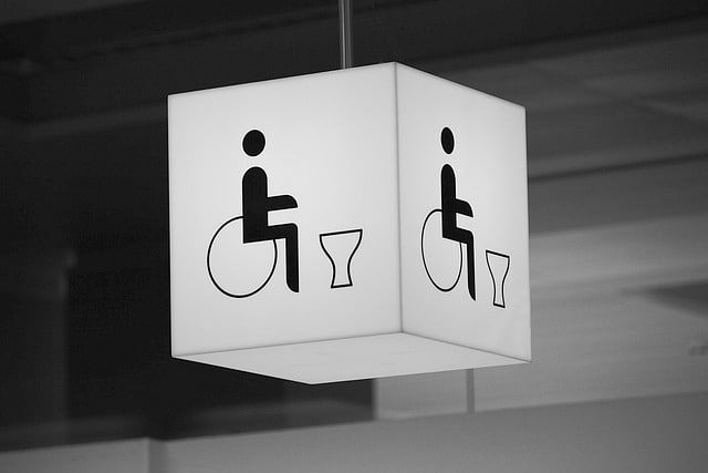 Disability Friendly Design Toilets