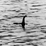 The legendary Loch Ness Monster, as recorded by Robert Wilson. Wilson Keystone Getty Images