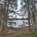 Walking and Hiking Trails At Loch An Eilein