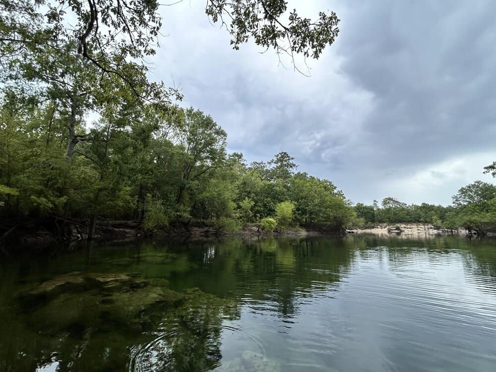 Conservation Efforts At Troy Springs