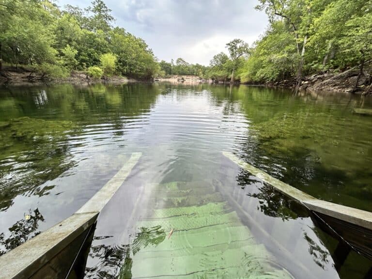 Troy Springs: A Guide to Florida’s Stunning Natural Wonder