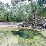 Caves At Head of Telford Springs