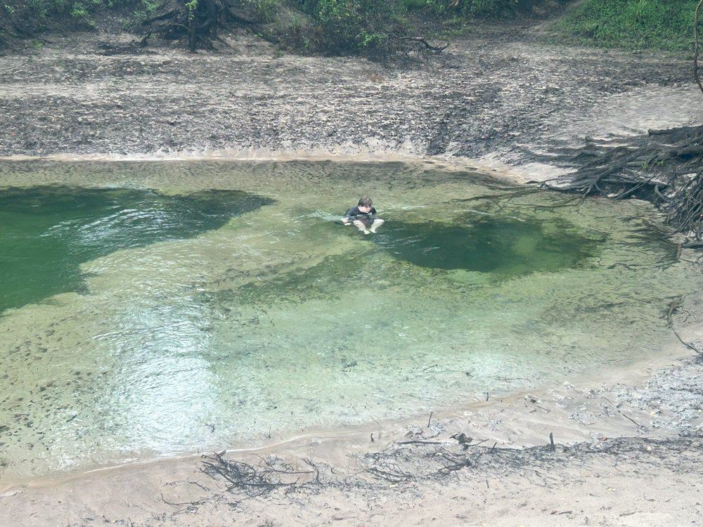 Swim and Dive at Telford Spring