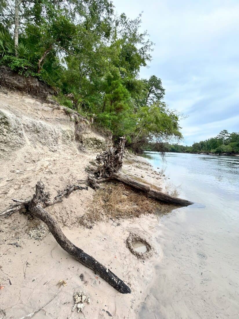 Telford Spring Beach