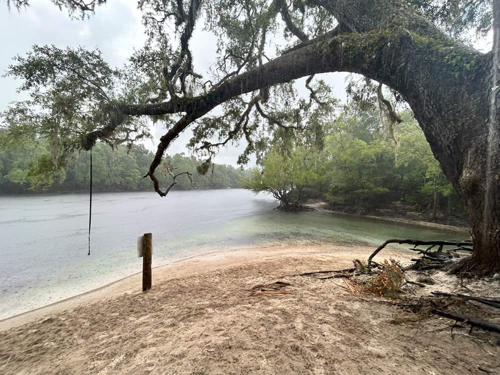 Telford Spring Rope Swing