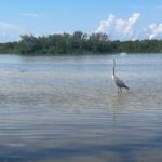 Ozello Florida