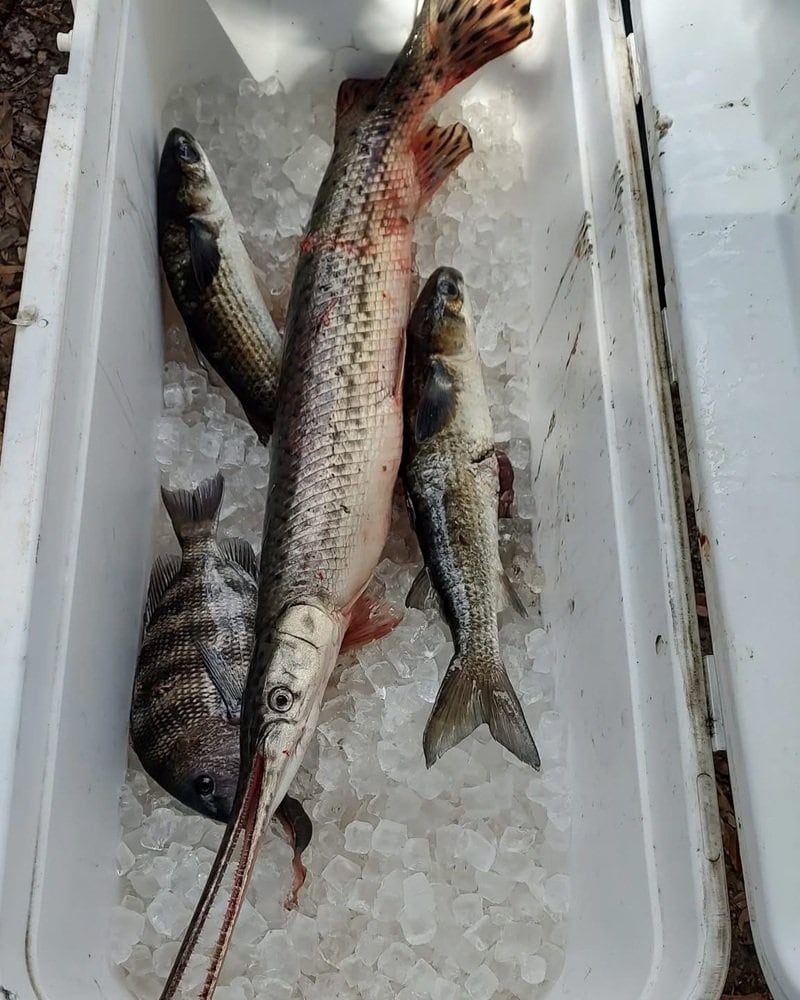 Fishing In Ozello