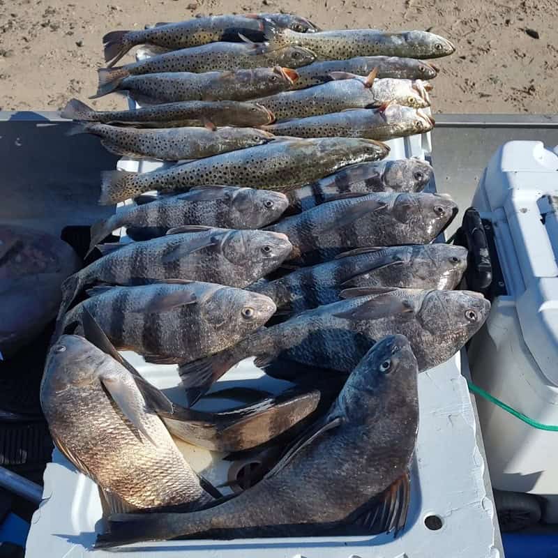 Fishing In Ozello