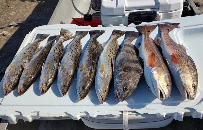 Fishing In Ozello