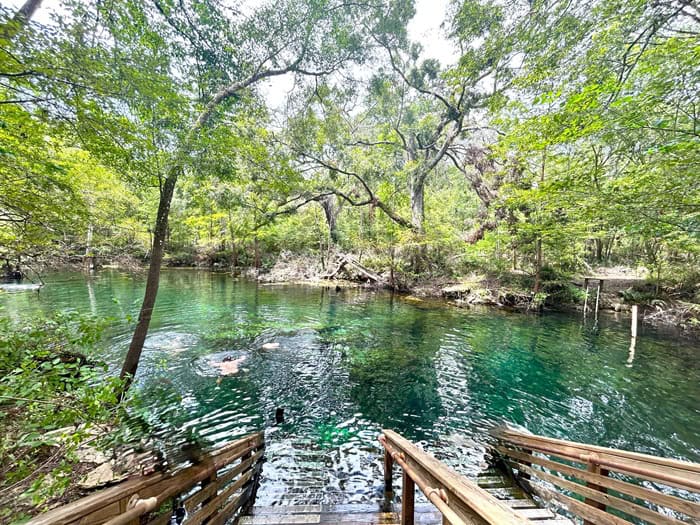 Wes Skiles Peacock Springs Cover 1