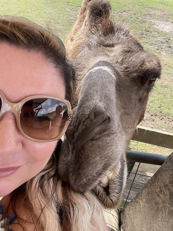 Glamping In Florida At Safari Wilderness