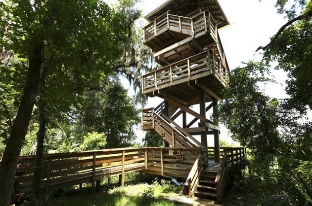 Wacahoota Trail Tower