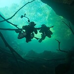 Diving At Wes Skiles Peacock Spring