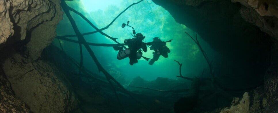 Diving At Wes Skiles Peacock Spring