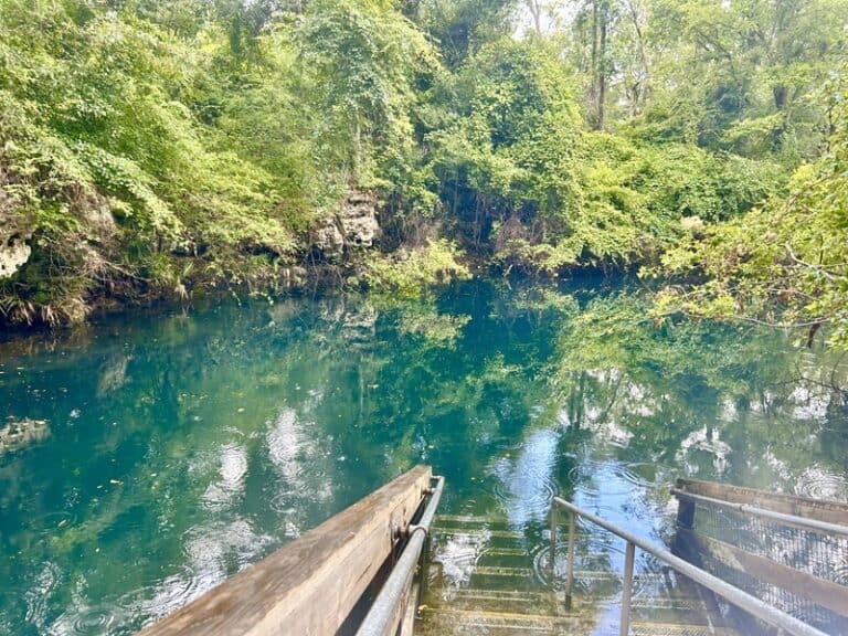 Orange Grove Wes Skiles Peacock Spring