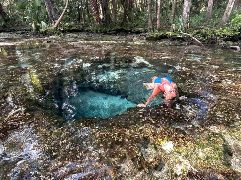 Seven Sisters Springs Chassahowitzka River