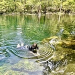 Wes Skiles Peacock Springs