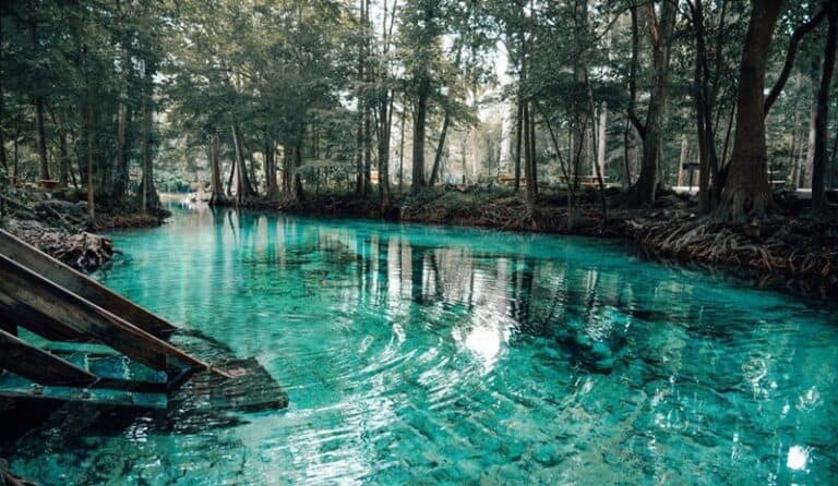 Ginnie Springs