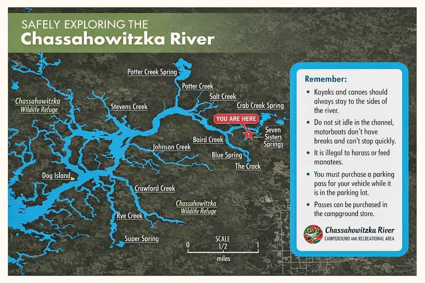 Seven Sisters Springs On The Chassahowitzka River: The Most Exquisite ...