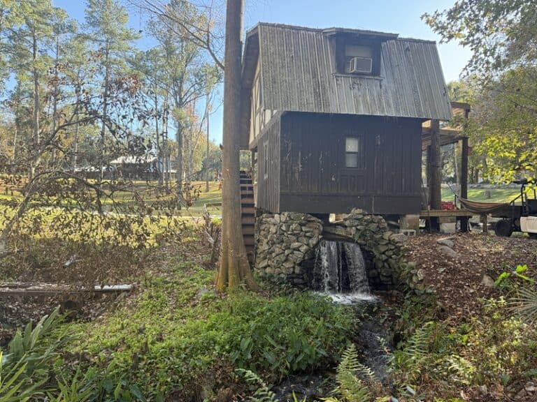 Seminole Spring