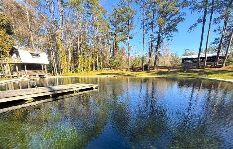 Seminole Spring Cover