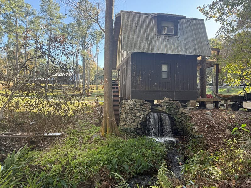 Seminole Spring